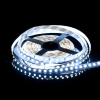$ TAŚMA LED 600 SMD2835 CW IP20 SMD LEDline5Y 5M