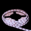$ TAŚMA LED 300 SMD2835 CW IP66 SMD LEDline3Y 5M