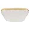 PLAFON NEMO GOLD LED 17W PW 4000K IP44 złoty