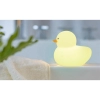 ^LAMPKA DO KĄPIELI KACZKA RGB IP67 9004