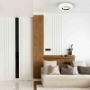 PLAFON TOKYO GOLD 24W CCT