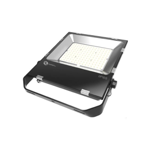 NAŚWIETLACZ PX-150W 5000K PROFES 3l gw 3742