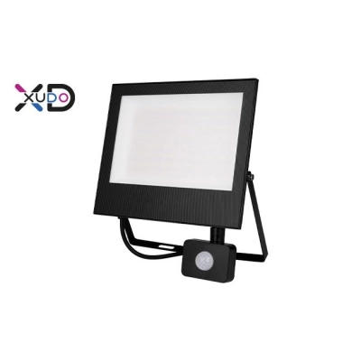XD NAŚWIETLACZ LED 100W MOLA 4500K