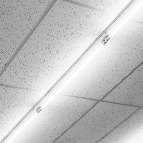 ŚWIETLÓWKA LED T8 120CM 2500LM 15,5W 6500K 5Y