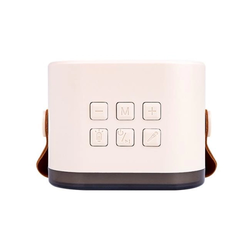 GŁOŚNIK PRZENOŚNY BLUETOOTH KARAOKE 2 MIKROF.8979