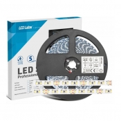 = TAŚMA LED 600 2835 PW 24V 12W/m 5M 3Y PROLine