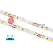 TAŚMA LED 300 SMD2835 CW IP68 4,8W/m mb rolka 10m